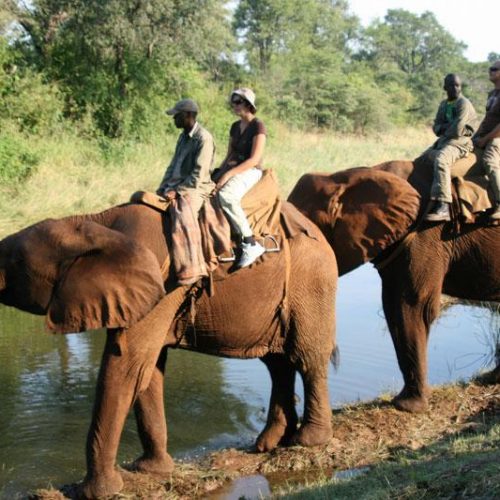 Shortages, price hikes choke tourism sector, says Hwingwiri