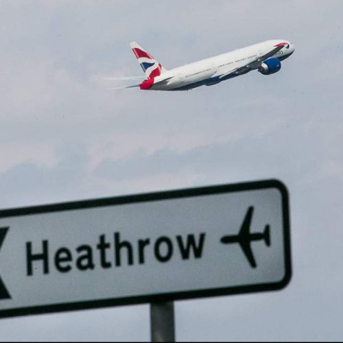 Prolific Zim bird smuggler facing lengthy sentence after being caught with 19 rare eggs at Heathrow