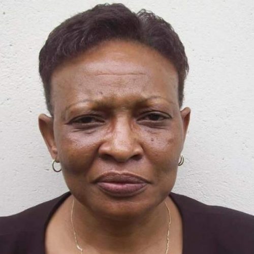 Khumalo, six MDC activists freed on $200 bail each