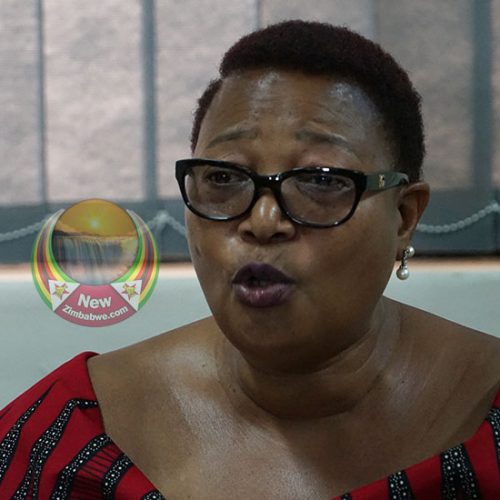 MDC-T Khupe welcomes POSA repeal