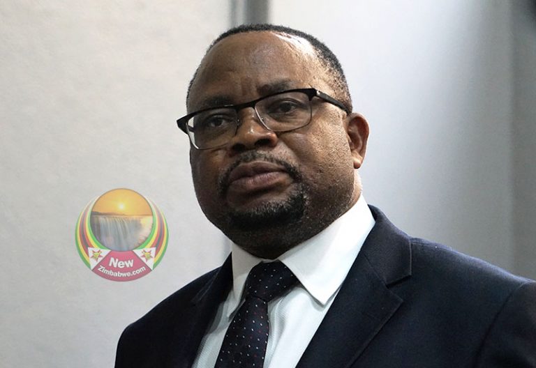 mavima-pushes-for-fair-salaries-newzimbabwe