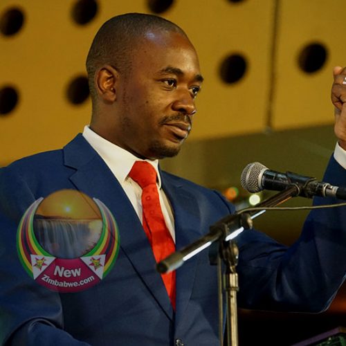 MDC pressure group: ‘Cyclone Chamisa must be stopped’