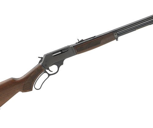 Dog shoots man, court rules owner not fit for licence