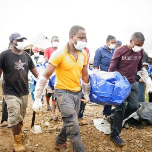 Man dies while trying to rescue goat