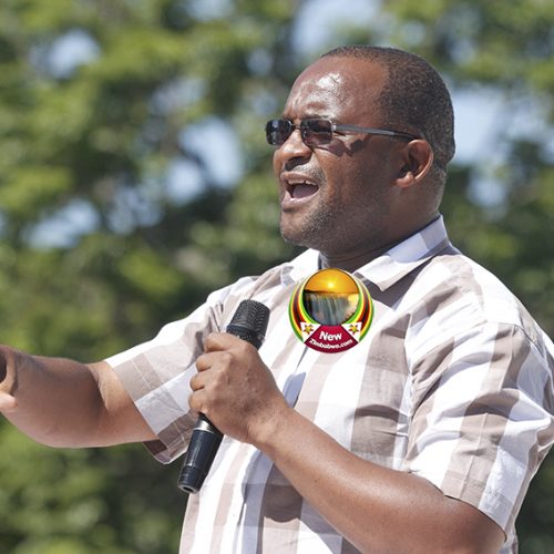 Mwonzora, Komichi Terms Of Office Expired In Nov 2019 – Welshman Ncube