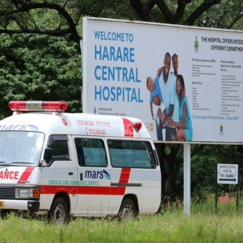 Zim doctors blast govt hospital privatisation bid