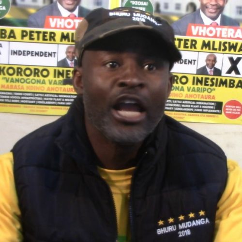Mliswa urges ban in the carrying of machetes