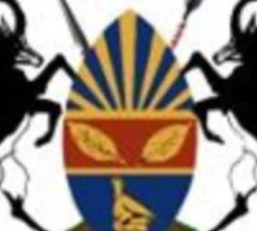 Harare City Council seeks High Court order to evict over 185 families