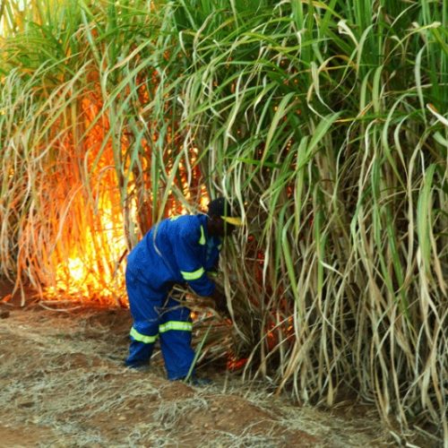Arson crime haunts flamboyant politician Hwarare, sued for US$3,6 million
