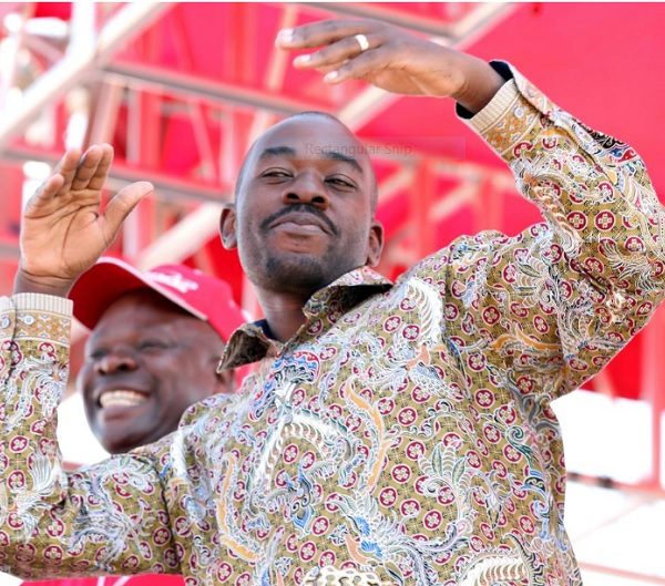 Chamisa Film Wins Award In Brazil