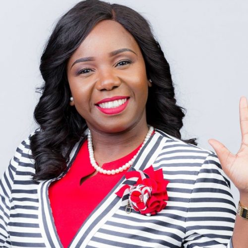 Vimbai Tsvangirai send-off gala in pictures
