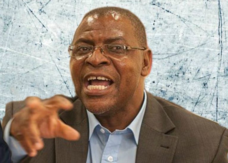 Ncube Fuel price hike to increase suffering by the majority