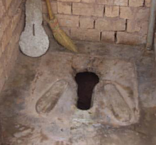Dumped baby survives more than 24 hours inside toilet pit, dies