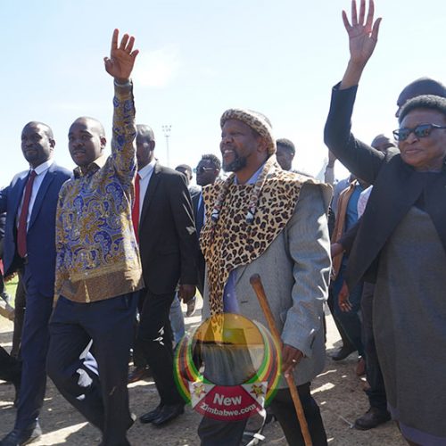 Matebeleland chiefs throw Ndiweni under the bus