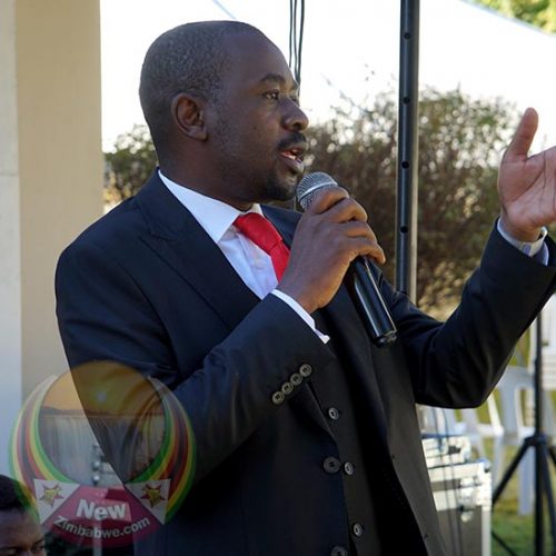 Imprisoned Chief Ndiweni remains resolute: Chamisa after prison visit