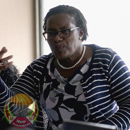 ZIMRA’s cargo tracking system scares off fuel cartels