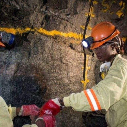 Covid-19 measures affect Blanket Mine’s gold production targets