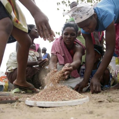 55% Norton residents food insecure – report