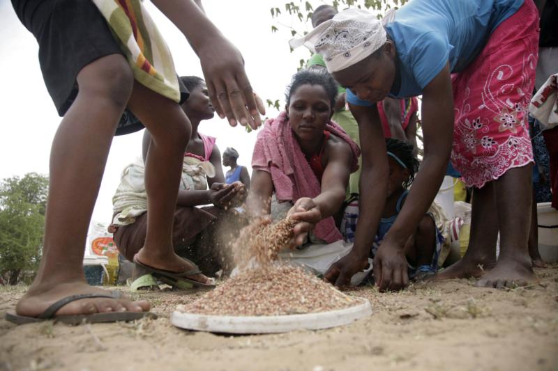 Starving villagers in Tsholotsho call out for govt assistance - New Zimbabwe.com