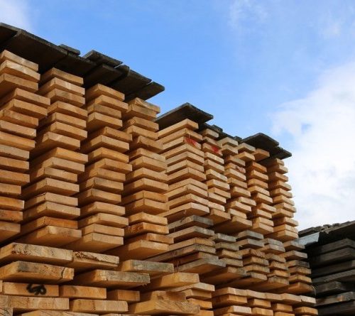 Border Timbers moves out of the woods