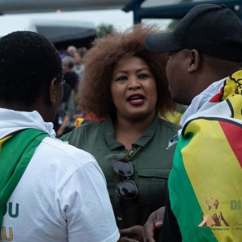 Diaspora Insurance wheels WC bound Zim Gems who arrive to rapturous welcome