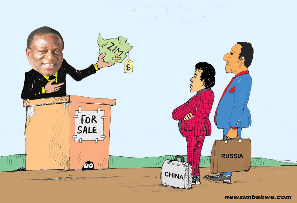 Zim for sale - NewZimbabwe.com