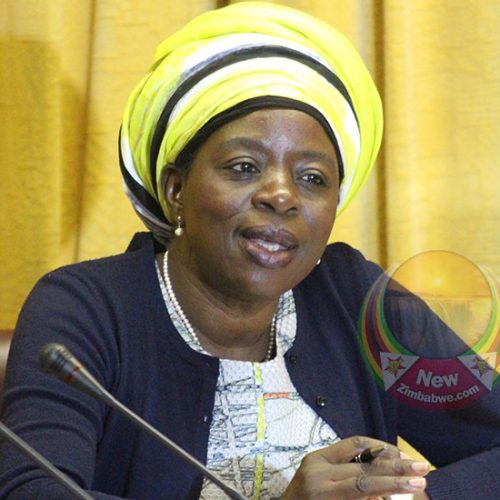 Nzenza hikes basic commodity import licences fees, spares grain