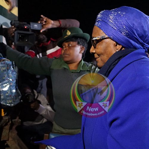 Mupfumira seeks bail at Supreme Court