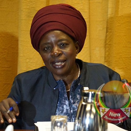 Sekai Nzenza dragged to court for unlawful suspension