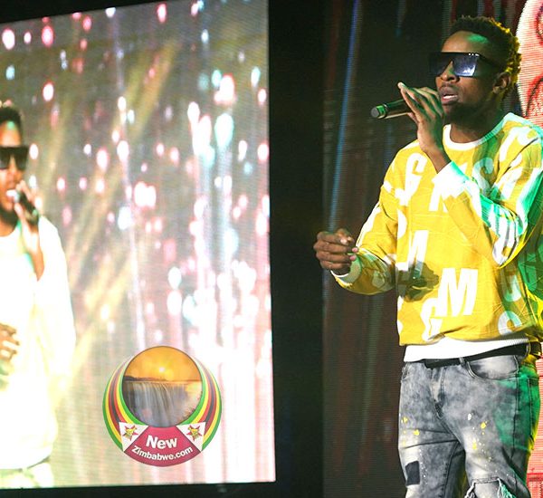 Artists Joy Short-Lived As Chiwenga Suspends Activities