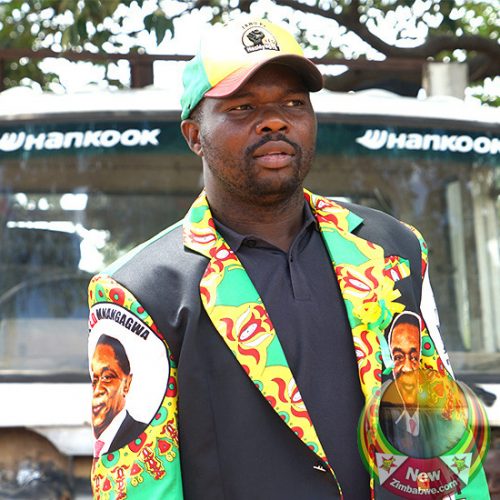 Zanu PF Youths Promised Land As Reward For Campaign Support