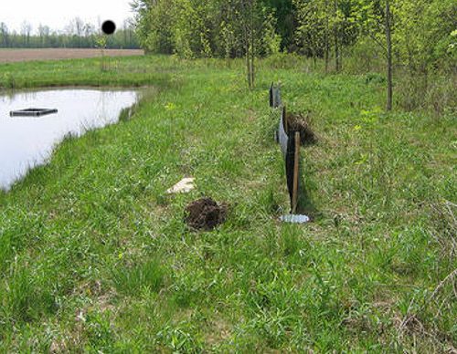 High Court Blocks Wedding Venue Construction On Wetland