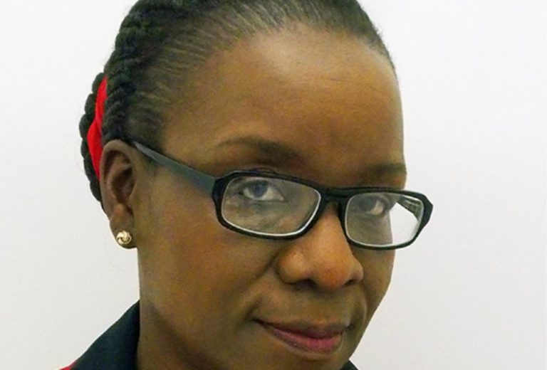 Mahomva reassignment raises stink