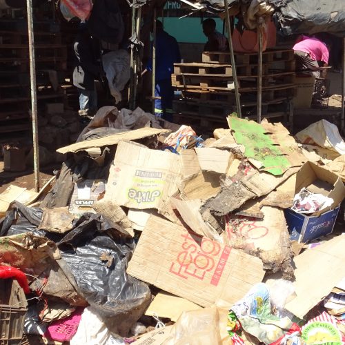 Police Water Cannons Disinfect Bulawayo COVID-19 Hotspots