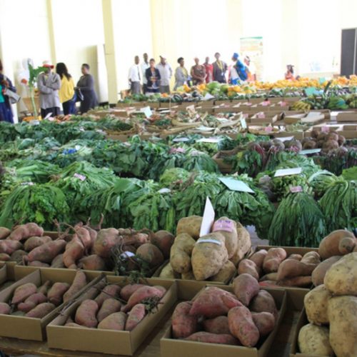 Tough times beckon for Zim agric shows set to be held same months this year
