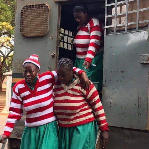 Judge reserves ruling in Mamombe, activists’ freedom bid