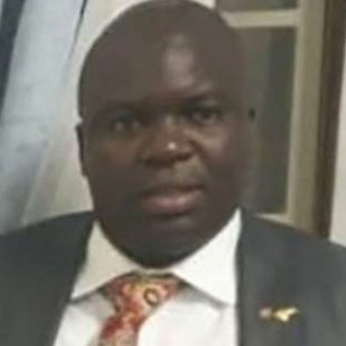 Nguwaya out on $50k bail, judge exonerates businessman