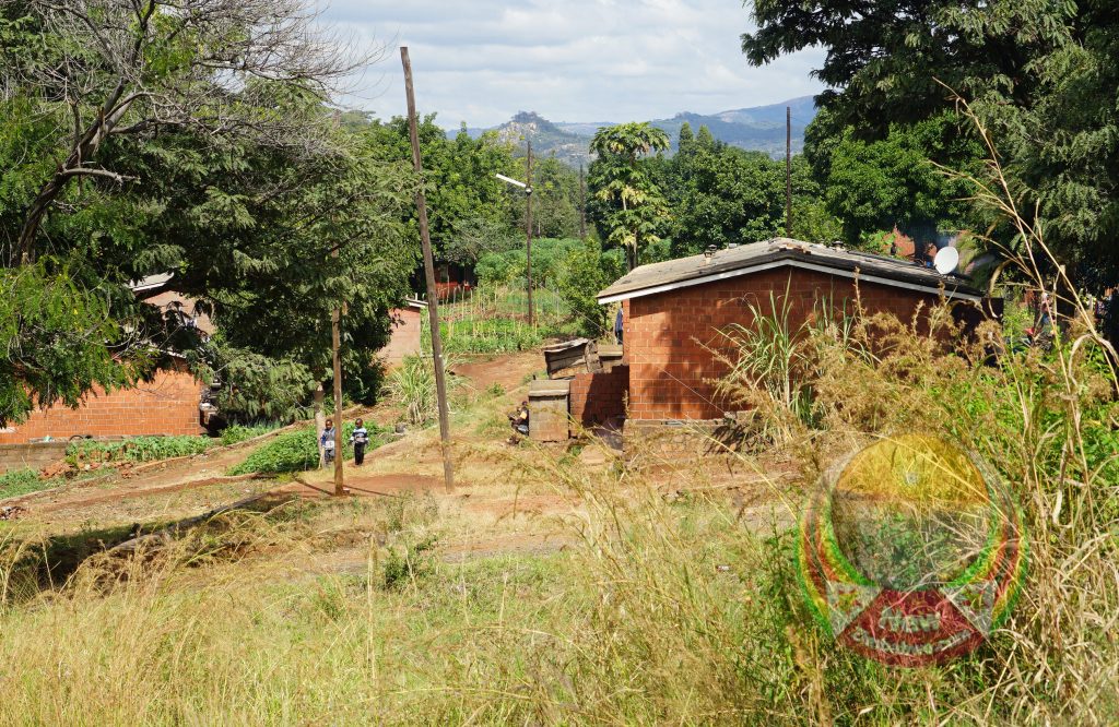 IN PICTURES Beer drinkers church
