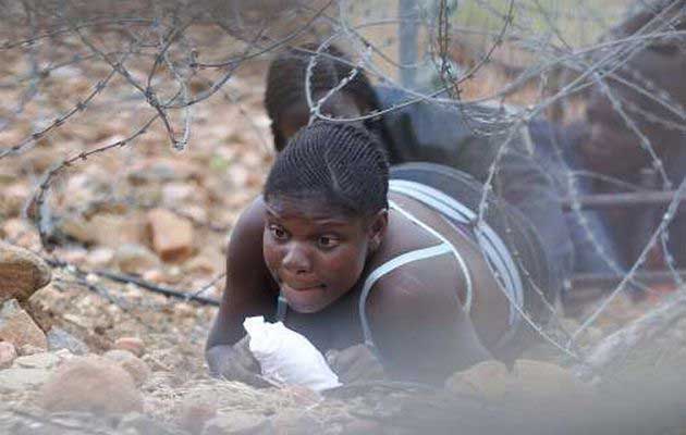 Border operation nets 25 illegal migrants crossing from Zimbabwe into South Africa 