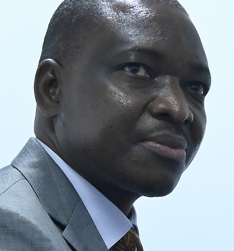 Zimbabwe ready to unlock 600Mw of electricity; resurgence of mining