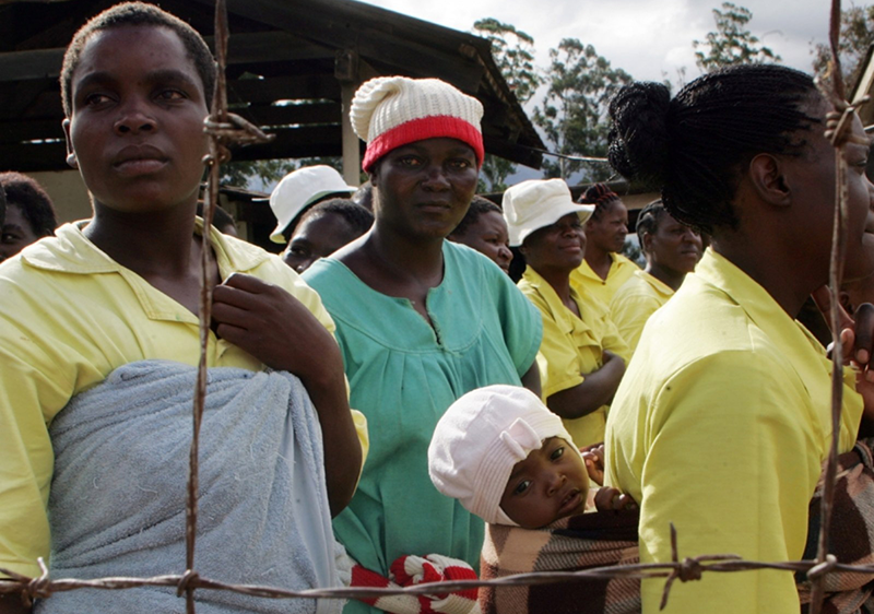 Zim prisons holding 500 Malawians arrested trying to illegally cross to