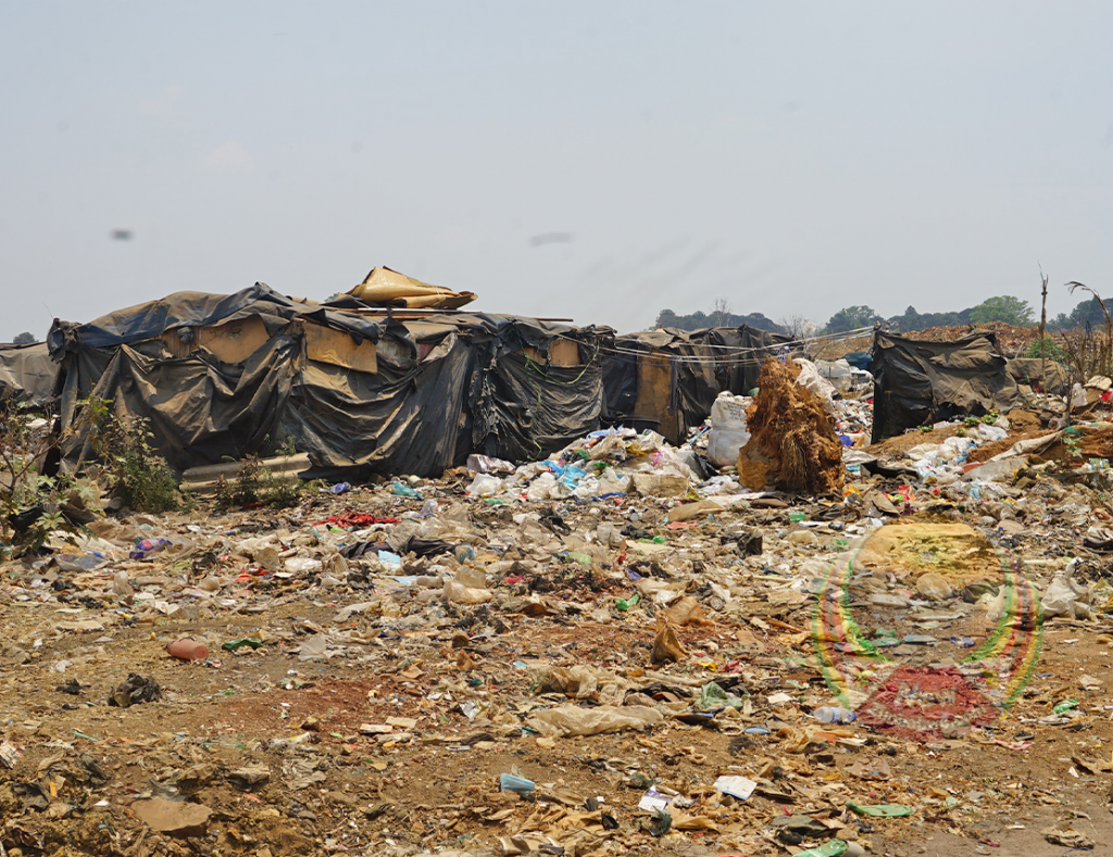 In Pictures Harare's controversial Pomona dumpsite