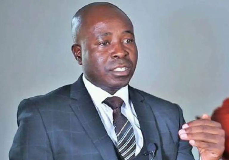 Zimbabwean businesses export of more products to China