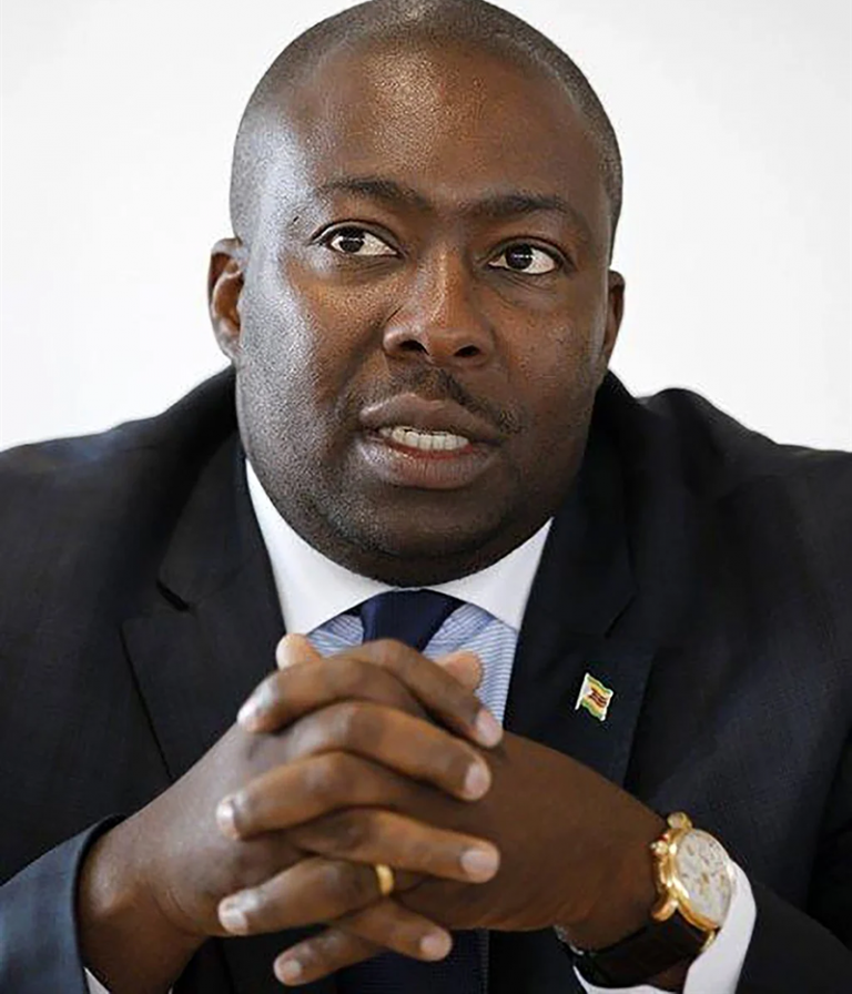Kasukuwere Unmoved By High Court Ruling Set To Continue Electoral 