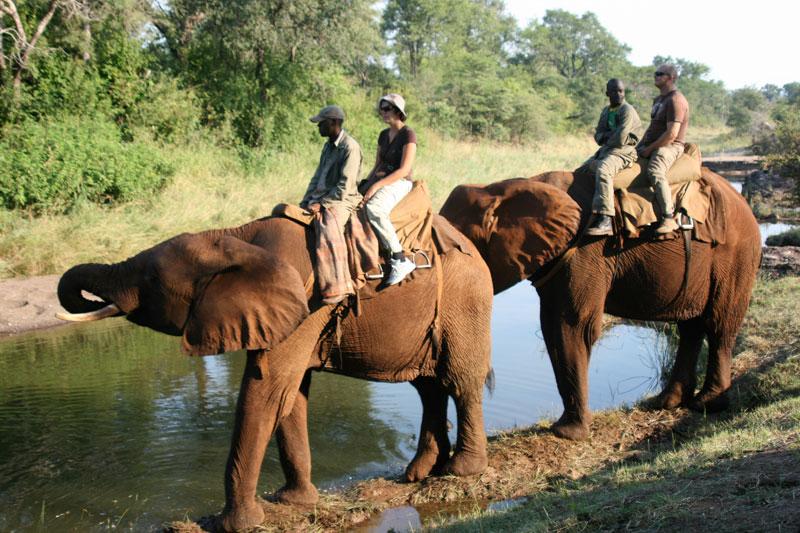 TRAVEL: Seven reasons Zimbabwe should be on your bucket list