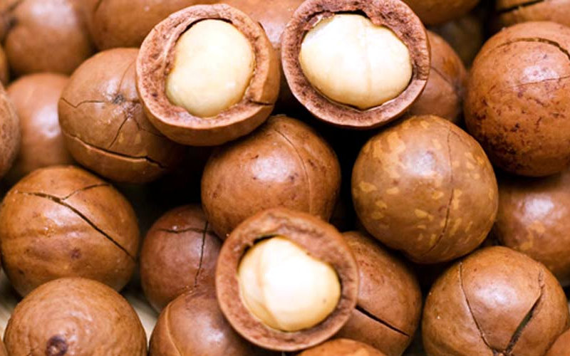 China imports macadamia nuts worth over 5 mln USD from Zimbabwe in 2022