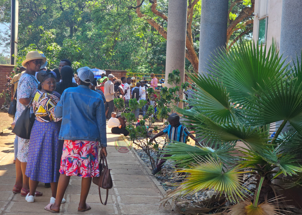 In Pictures: Passport demand in Zimbabwe surges following Mthuli Ncube