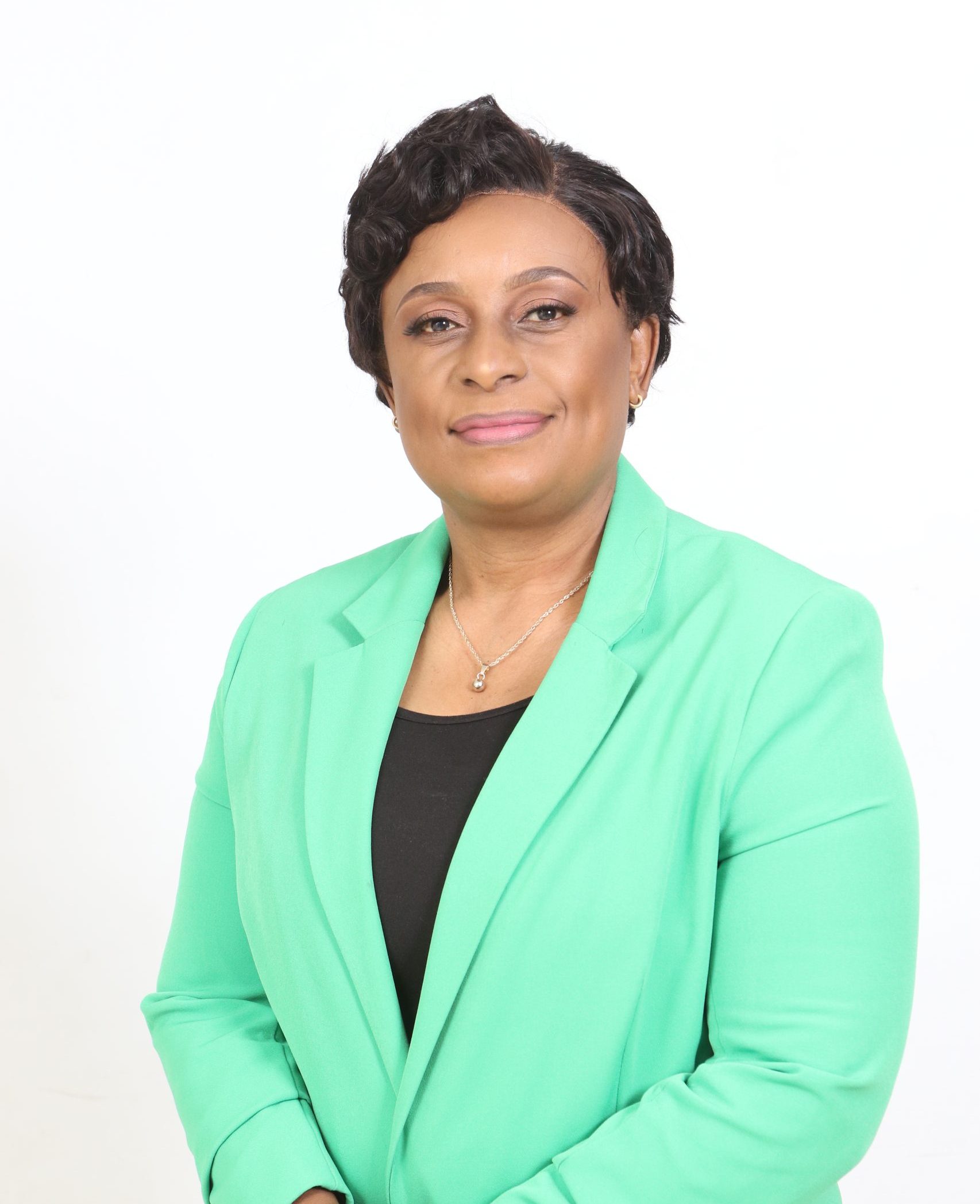 The Premier Zimbabwe Diaspora Property Showcase is coming to the USA