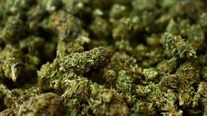 Truck driver flees police custody after seizure of cough syrup, dagga