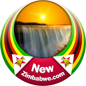 https://www.newzimbabwe.com/international-nurses-day-health-workers-demand-urgent-government-action-over-low-pay-hospital-crisis/